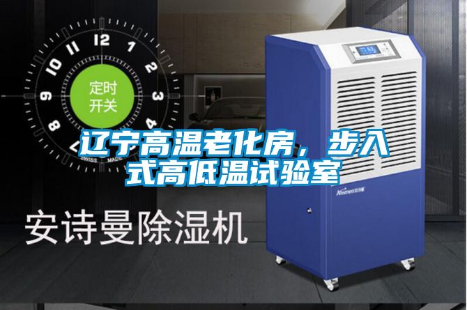 遼寧高溫老化房，步入式高低溫試驗室