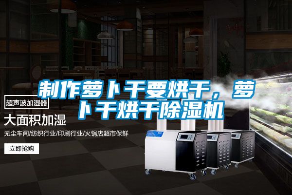 制作蘿卜干要烘干，蘿卜干烘干除濕機(jī)