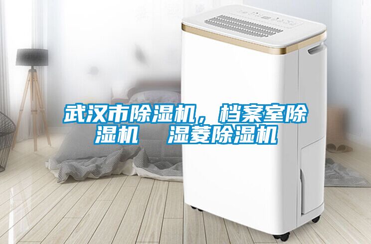武漢市除濕機(jī)，檔案室除濕機(jī)  濕菱除濕機(jī)