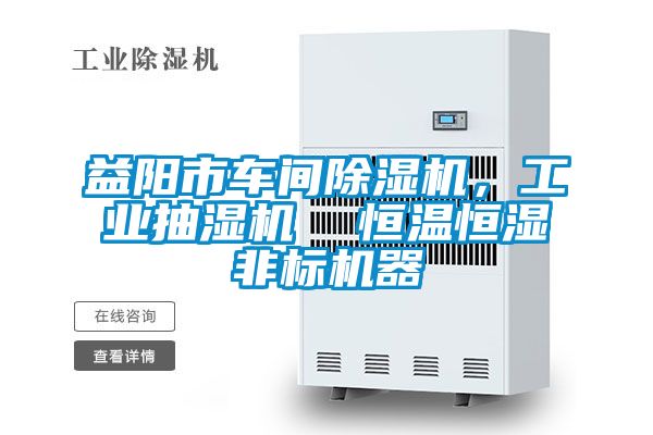 益陽市車間除濕機，工業(yè)抽濕機  恒溫恒濕非標機器
