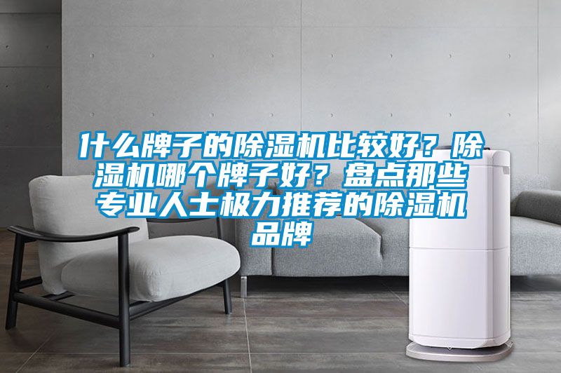什么牌子的除濕機(jī)比較好？除濕機(jī)哪個牌子好？盤點(diǎn)那些專業(yè)人士極力推薦的除濕機(jī)品牌