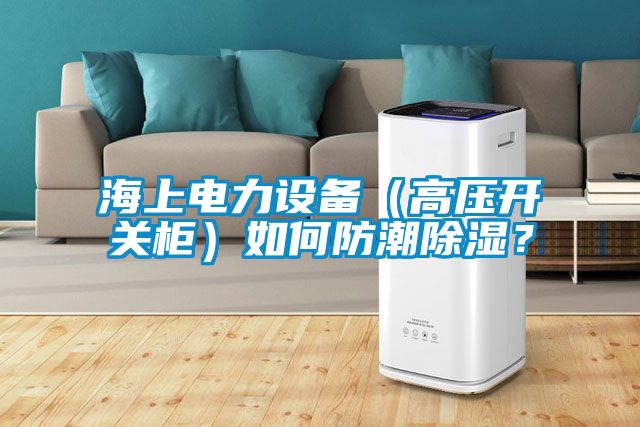 海上電力設(shè)備（高壓開(kāi)關(guān)柜）如何防潮除濕？