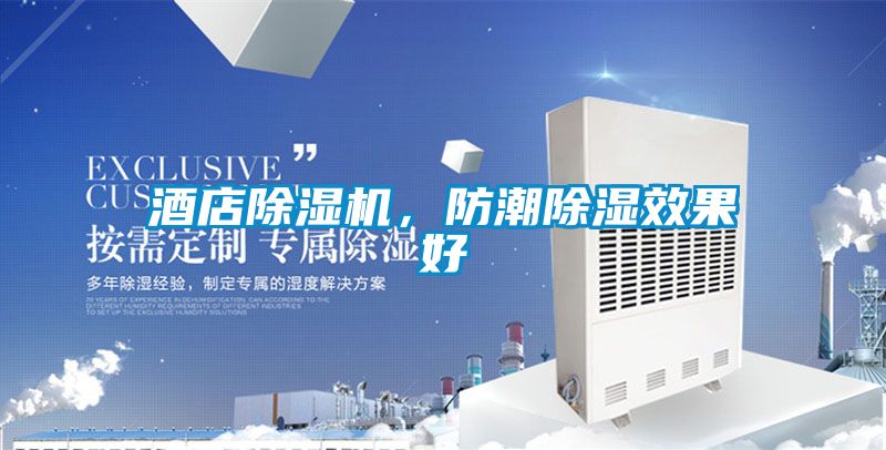 酒店除濕機(jī)，防潮除濕效果好