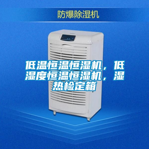 低溫恒溫恒濕機(jī)，低濕度恒溫恒濕機(jī)，濕熱檢定箱