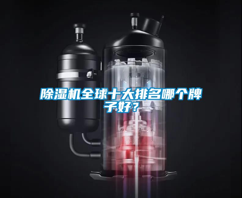 除濕機(jī)全球十大排名哪個(gè)牌子好？