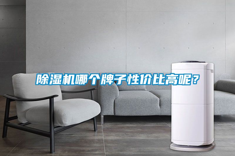 除濕機哪個牌子性價比高呢？