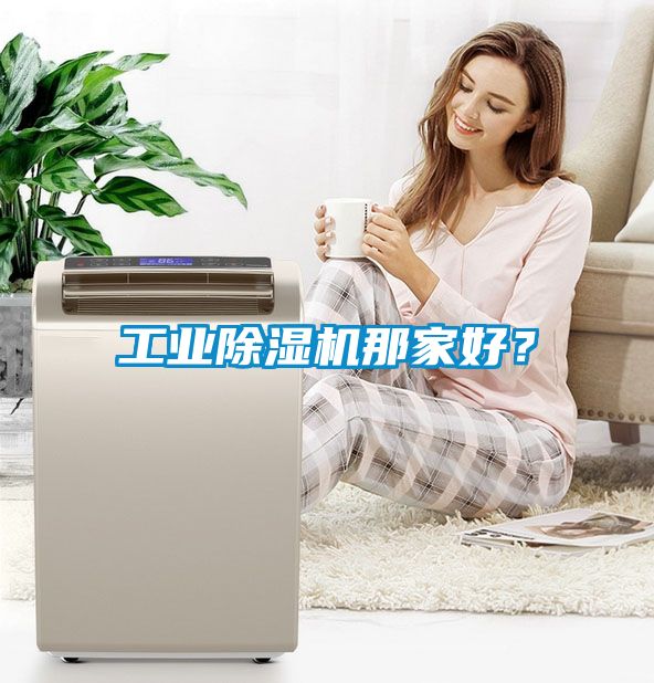 工業(yè)除濕機(jī)那家好？
