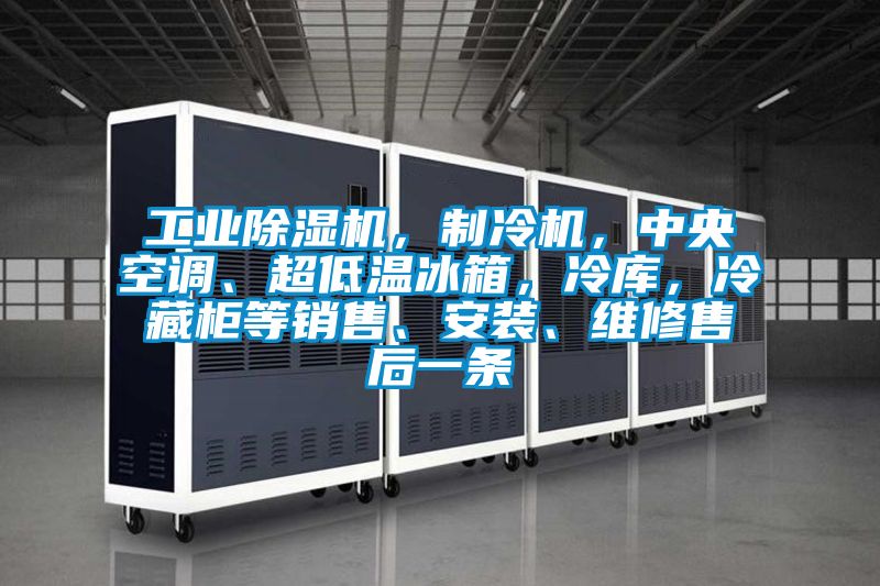 工業(yè)除濕機(jī)，制冷機(jī)，中央空調(diào)、超低溫冰箱，冷庫(kù)，冷藏柜等銷售、安裝、維修售后一條