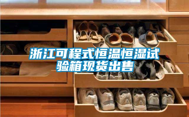 浙江可程式恒溫恒濕試驗箱現(xiàn)貨出售