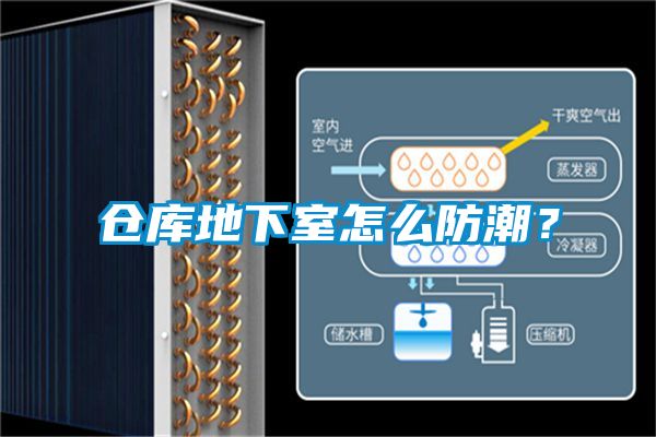 倉庫地下室怎么防潮？