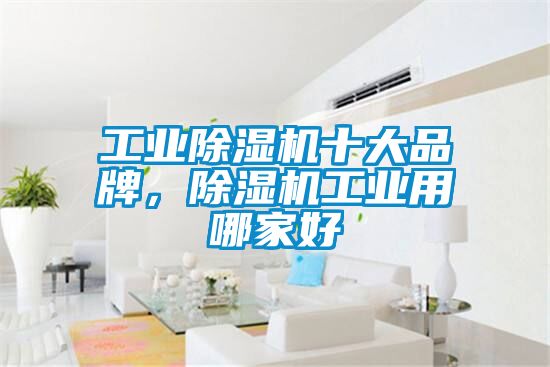 工業(yè)除濕機(jī)十大品牌，除濕機(jī)工業(yè)用哪家好