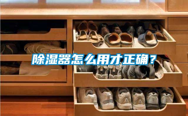 除濕器怎么用才正確？