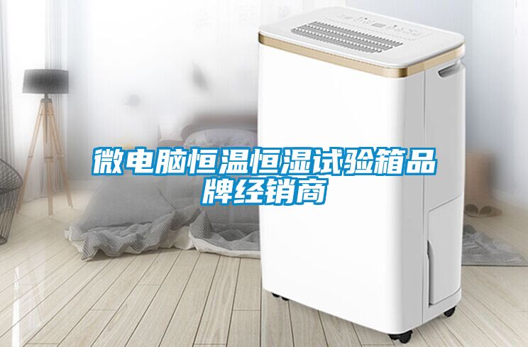 微電腦恒溫恒濕試驗箱品牌經(jīng)銷商