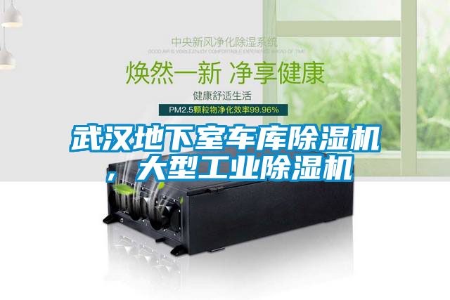 武漢地下室車庫除濕機(jī)，大型工業(yè)除濕機(jī)