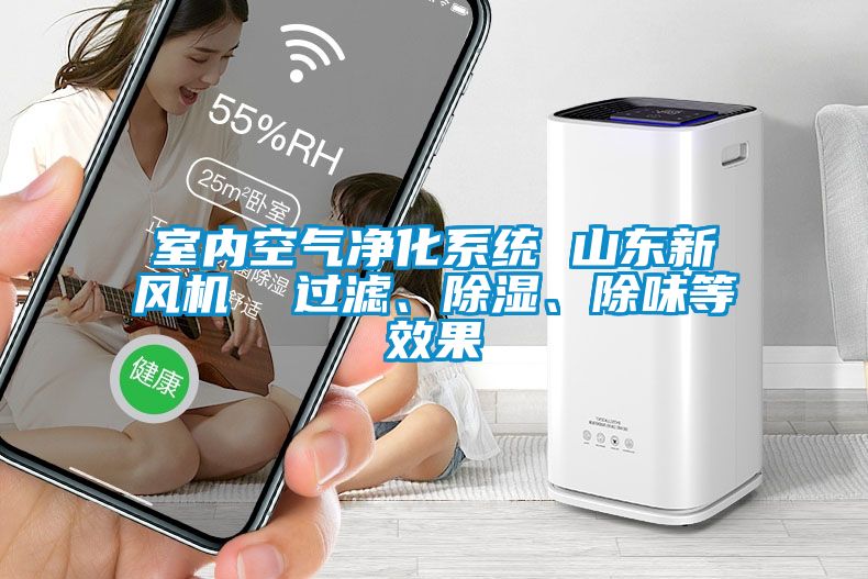 室內(nèi)空氣凈化系統(tǒng) 山東新風(fēng)機(jī)  過(guò)濾、除濕、除味等效果