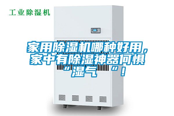 家用除濕機哪種好用，家中有除濕神器何懼 “濕氣 “！