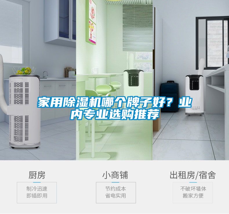 家用除濕機(jī)哪個(gè)牌子好？業(yè)內(nèi)專業(yè)選購?fù)扑]