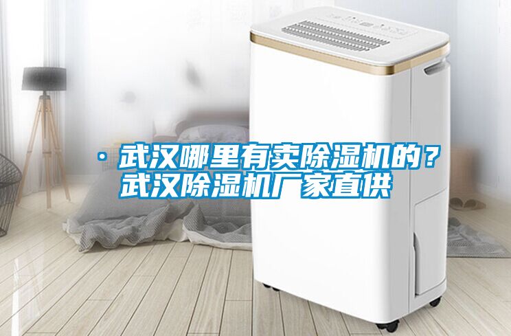 ·武漢哪里有賣除濕機(jī)的？武漢除濕機(jī)廠家直供