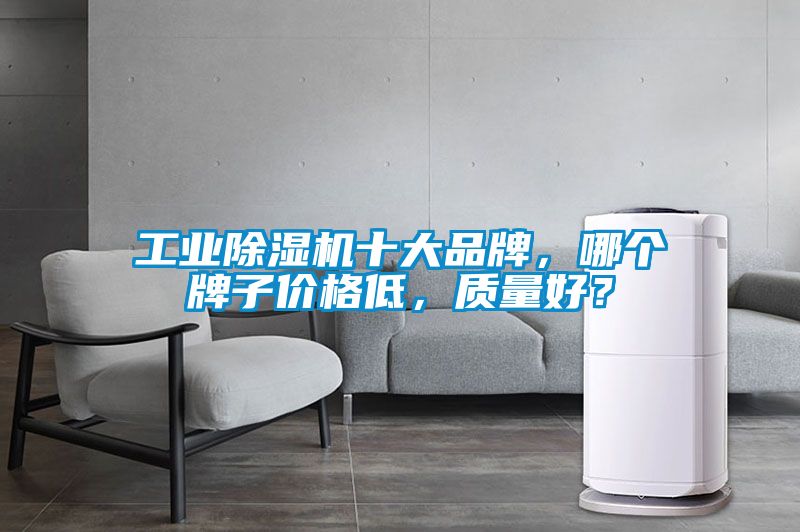 工業(yè)除濕機(jī)十大品牌，哪個(gè)牌子價(jià)格低，質(zhì)量好？