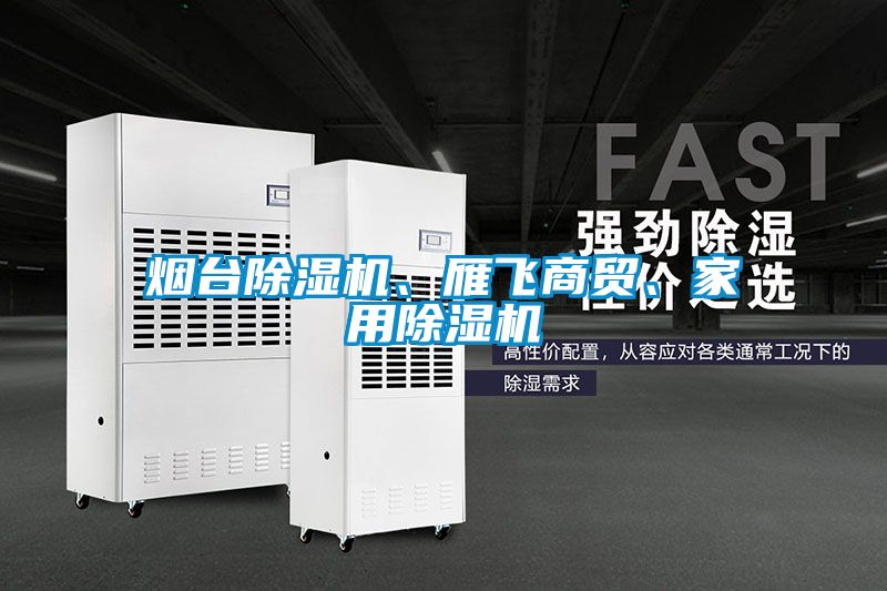煙臺(tái)除濕機(jī)、雁飛商貿(mào)、家用除濕機(jī)