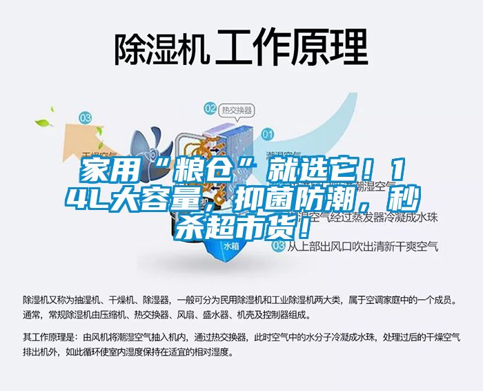 家用“糧倉”就選它！14L大容量，抑菌防潮，秒殺超市貨！