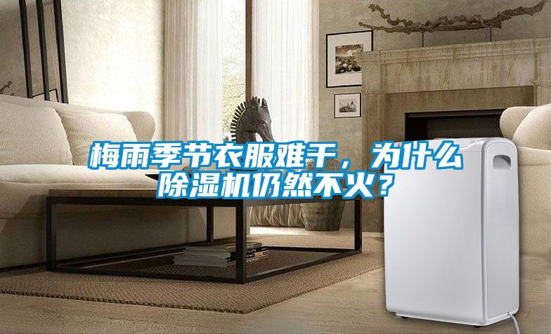 梅雨季節(jié)衣服難干，為什么除濕機(jī)仍然不火？