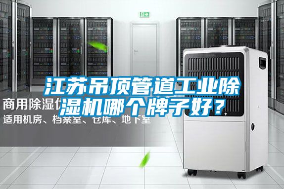 江蘇吊頂管道工業(yè)除濕機(jī)哪個(gè)牌子好？