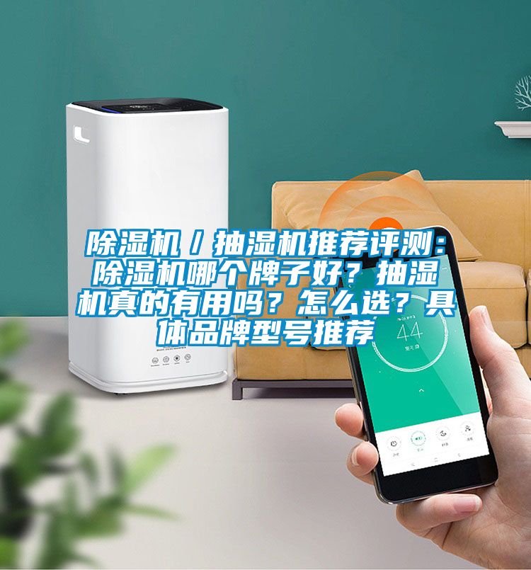 除濕機(jī)／抽濕機(jī)推薦評(píng)測：除濕機(jī)哪個(gè)牌子好？抽濕機(jī)真的有用嗎？怎么選？具體品牌型號(hào)推薦