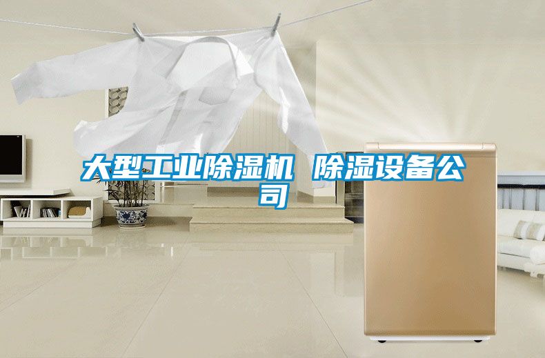 大型工業(yè)除濕機 除濕設(shè)備公司