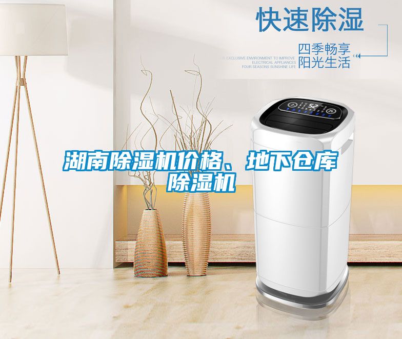 湖南除濕機(jī)價(jià)格、地下倉庫除濕機(jī)