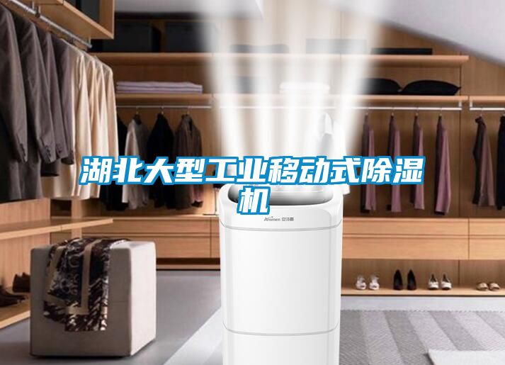 湖北大型工業(yè)移動式除濕機