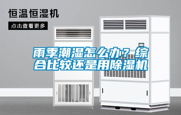 雨季潮濕怎么辦？綜合比較還是用除濕機(jī)