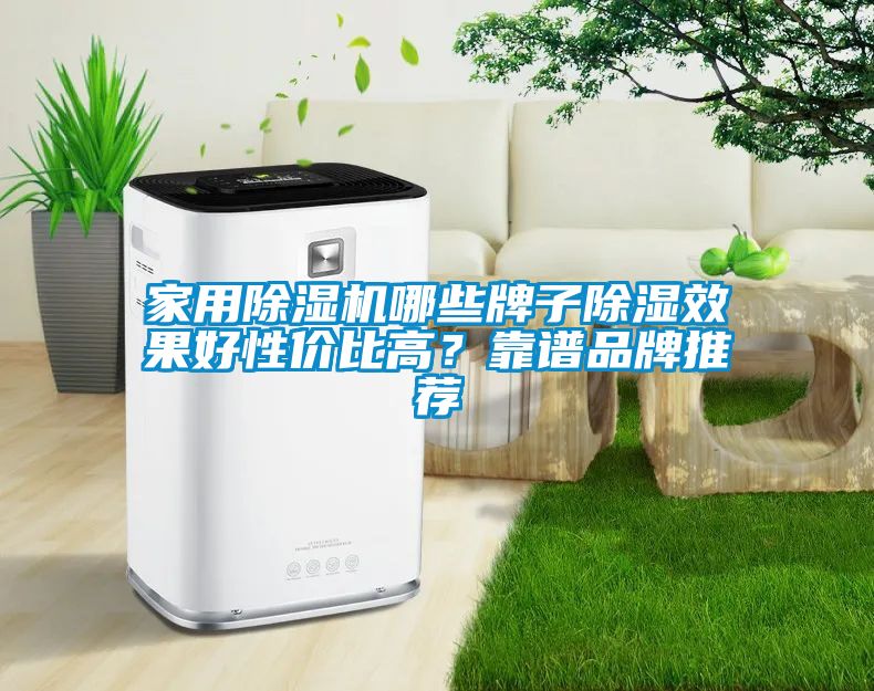 家用除濕機(jī)哪些牌子除濕效果好性價(jià)比高？靠譜品牌推薦