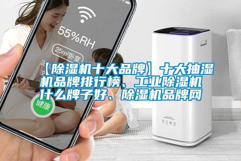 【除濕機(jī)十大品牌】十大抽濕機(jī)品牌排行榜、工業(yè)除濕機(jī)什么牌子好、除濕機(jī)品牌網(wǎng)