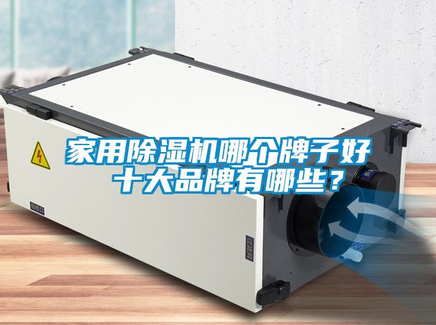 家用除濕機哪個牌子好 十大品牌有哪些？