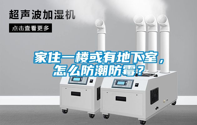 家住一樓或有地下室，怎么防潮防霉？