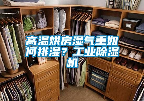 高溫烘房濕氣重如何排濕？工業(yè)除濕機