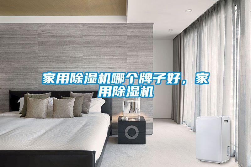 家用除濕機哪個牌子好，家用除濕機