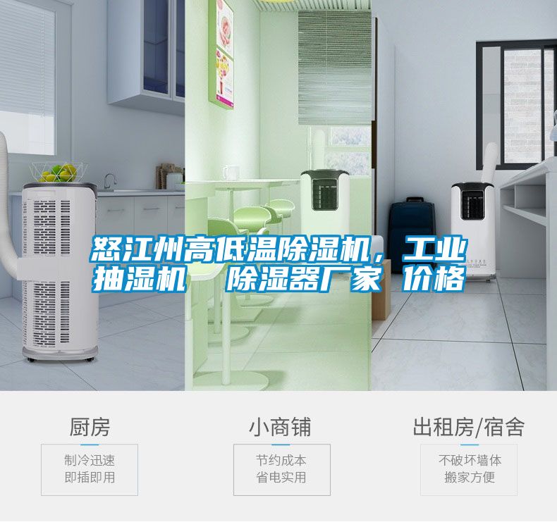 怒江州高低溫除濕機(jī)，工業(yè)抽濕機(jī)  除濕器廠家 價(jià)格