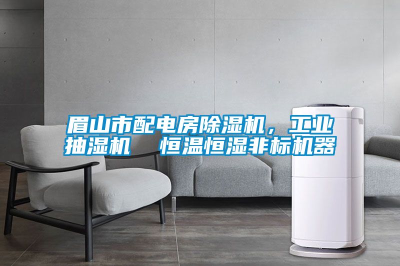 眉山市配電房除濕機，工業(yè)抽濕機  恒溫恒濕非標機器