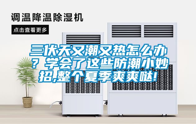 三伏天又潮又熱怎么辦？學(xué)會了這些防潮小妙招,整個夏季爽爽噠!
