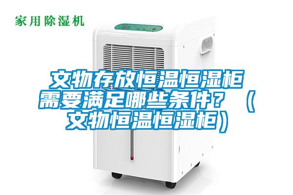 文物存放恒溫恒濕柜需要滿足哪些條件？（文物恒溫恒濕柜）