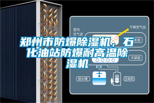 鄭州市防爆除濕機，石化油站防爆耐高溫除濕機