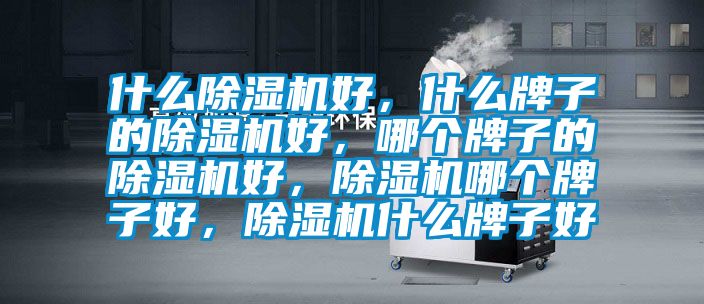 什么除濕機好，什么牌子的除濕機好，哪個牌子的除濕機好，除濕機哪個牌子好，除濕機什么牌子好