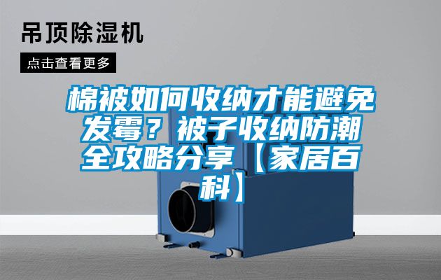 棉被如何收納才能避免發(fā)霉？被子收納防潮全攻略分享【家居百科】