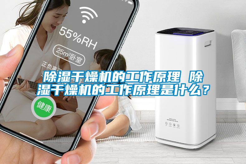 除濕干燥機的工作原理 除濕干燥機的工作原理是什么？