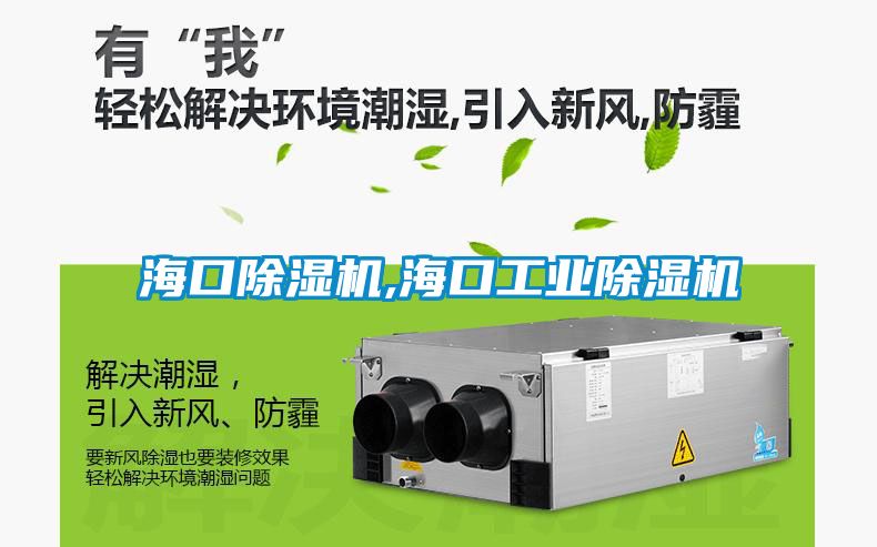 ?？诔凉駲C(jī),海口工業(yè)除濕機(jī)