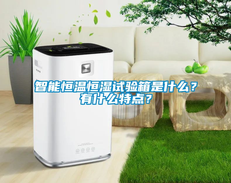 智能恒溫恒濕試驗箱是什么？有什么特點？