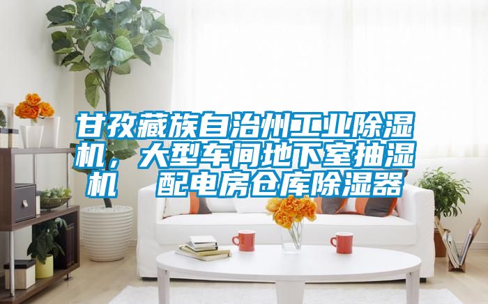 甘孜藏族自治州工業(yè)除濕機，大型車間地下室抽濕機  配電房倉庫除濕器