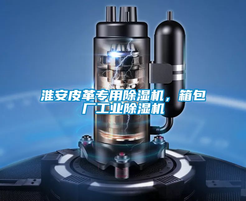 淮安皮革專用除濕機(jī)，箱包廠工業(yè)除濕機(jī)